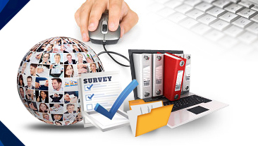 Data Entry of Business Surveys