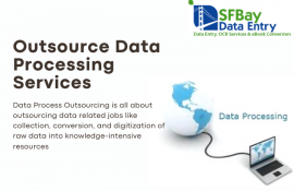 Outsource Data Processing Services